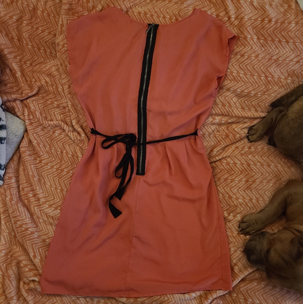 Dress - Picture 2 of 3